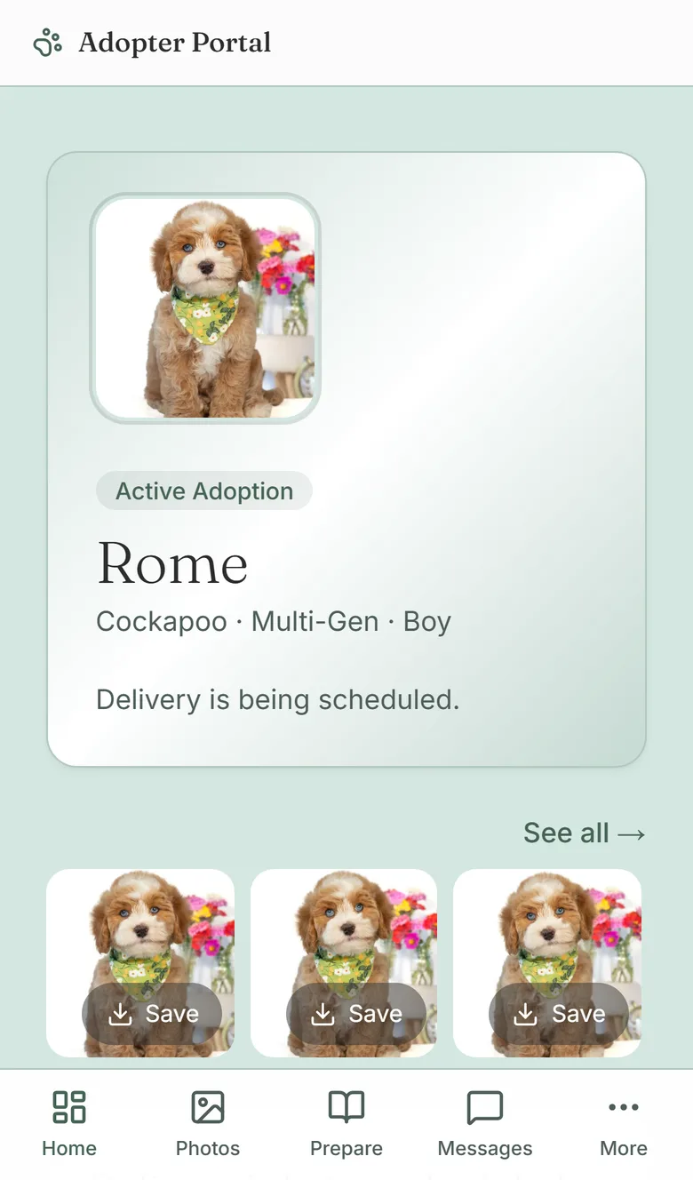 Portal home screen showing a reserved Cockapoo puppy named Rome